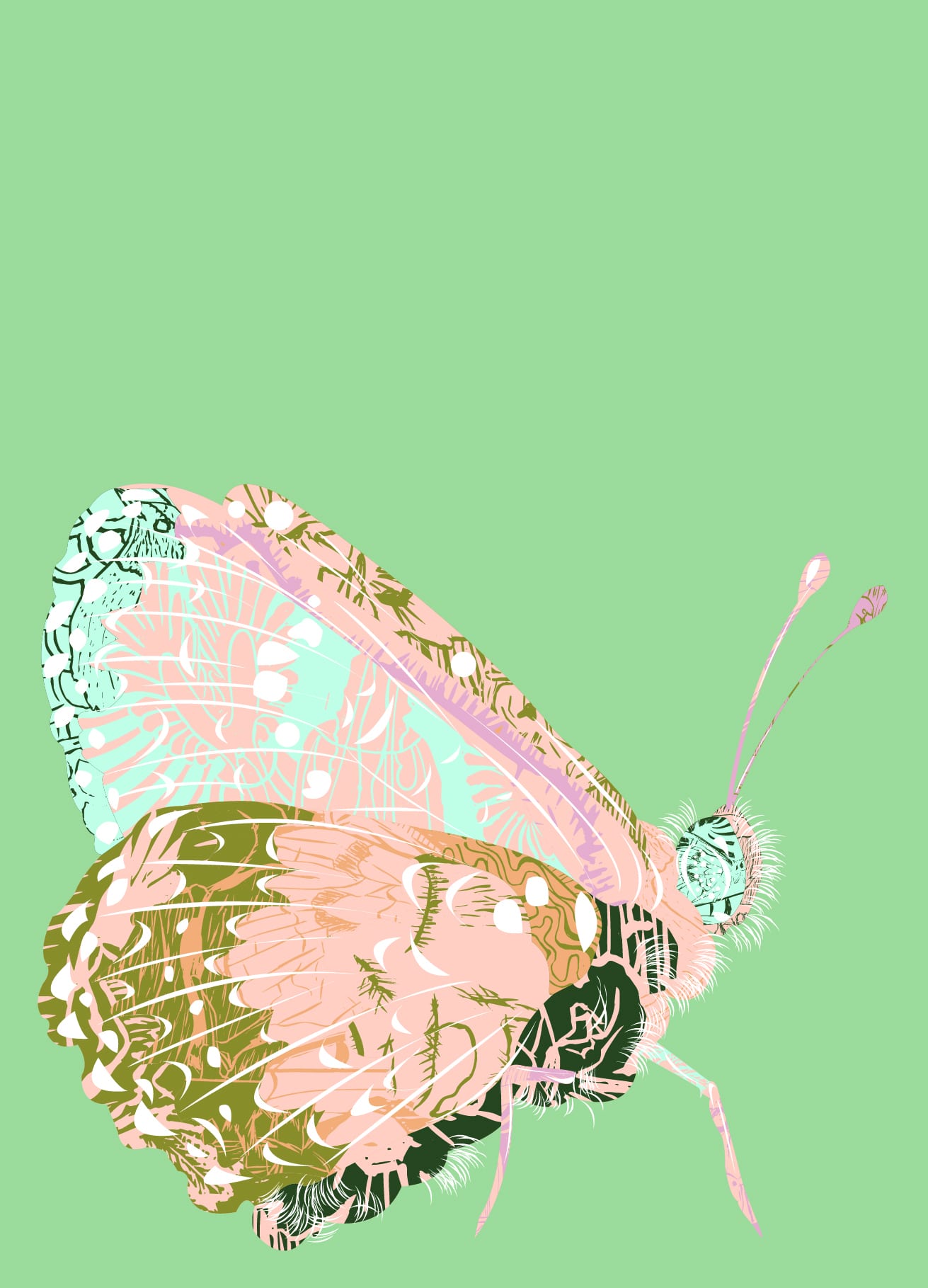 Glanville Fritillary