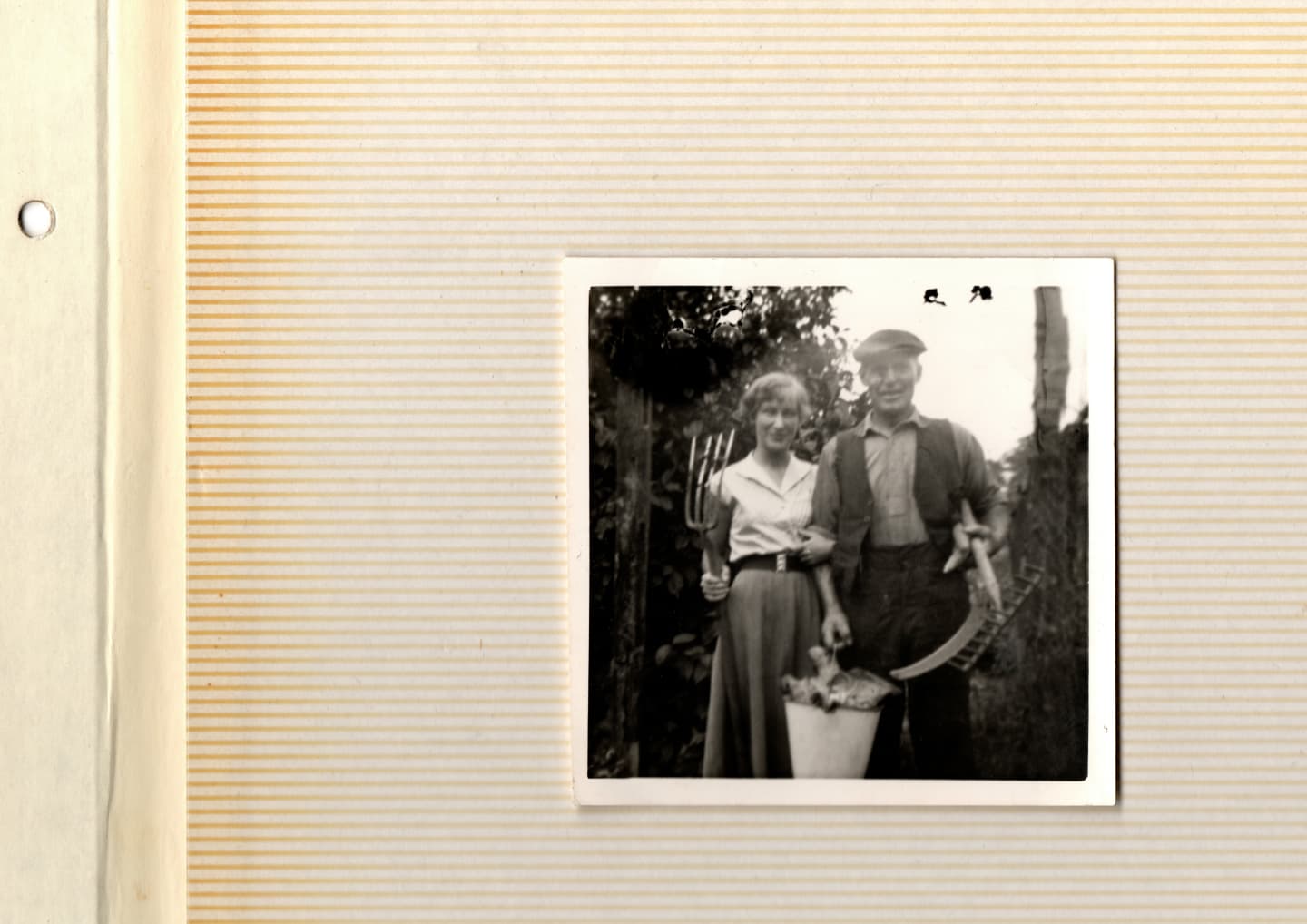 Sam and Beryl
A small square photograph with a white trim, stuck to the page of a photo album. The page is covered in horizontal orange lines, faded and weathered with age. On the left hand side is a cream strip with a hole punch, designed to fit into an album. The photograph itself is black and white, and shows a young woman holding the arm of an older man. Behind them sits foliage, perhaps part of a farm.
The young woman, Beryl, holds a pitchfork in one hand, and the arm of her father with the other. She wears a long circle skirt, belted with a large clasp, and a white shirt. Her hair is short and slightly curled. Sam wears a shirt and an open waistcoat. He holds a bucket of what may be cabbages in one hand, and a scythe and rake in the other. His trousers are high waisted, his shirt is tucked in, and atop his head sits a flat cap. Both are smiling.
I chose to include this photograph because Beryl, my Grandmother and Sam’s daughter, gave me the inspiration for the title of the poem ‘listen to them cows beeling’. She told me of the phrases Sam used to say often, and this one stuck with me.