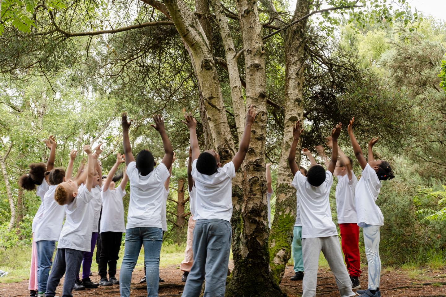 Around 15 children are gathered around a tree. They are all wearing white t-shirts. They are facing the tree and all have their hands raised as if they are growing like a tree. It looks like fun.