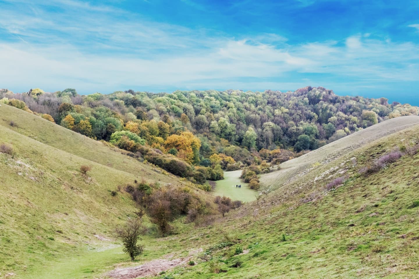 A shallow v shaped valley leads to a lush tree lined low hill in the background. The sky is bright blue.